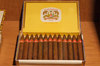 Cuban Cigars