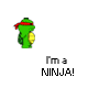 WATCH OUT! I'm a ninja