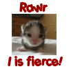 RAWR: for I am Fierce