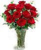 a dozen red rose