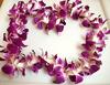 a Purple Orchid Lei
