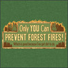 Forrest fire provention.