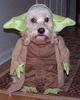 Yoda pet Costume