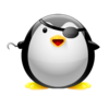 a pirate penguin