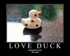 Love Duck