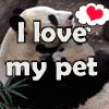i love my pet!