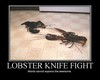 A Lobster Knife fight.. EPIC!!