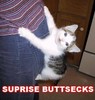 Surprise Buttsecks!