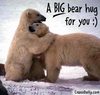 a big bear hug for you