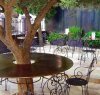 Café around an olive tree
