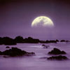 Ocean Moonrise