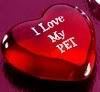 I Love My Pet!