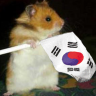 korean hamster