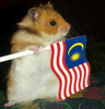 malaysian hamster