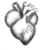 see this heart..? it beats for u