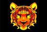 A sparkling tiger