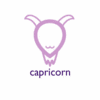 Astrological Sign - Capricorn