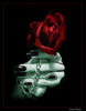 A Dark Red Rose