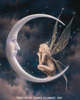 Fairy &amp; Crescent Moon