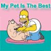 My Pet is the Best.