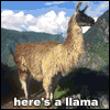 Here's a Llama