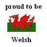 Welsh Rugby.Come on boys