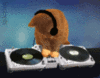DJ Cat plays some tunes