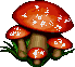 Majickal Mushroom