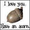 have an acorn.