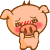 Shy Pig