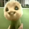 Happy CJ7