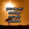 ~ you are my sunshine~