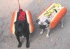 hot dogs