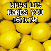 WhEn LiFe GivEs yOu LemOnz..