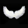  Angel Wings