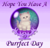 ♥hav a purfect day♥