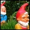 a pair of Gnomes