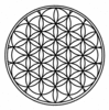 The Flower of Life