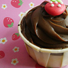a Chocolate Cupcake