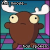 A Room With a Moose