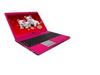 Red pc with doggy screensaver