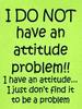 Attitude