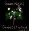 Good Night ...... Sweet Dreams