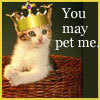 you may pet me! :P