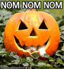 OM NOM NOM!