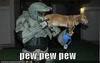 Lazors pew pew!