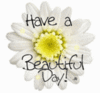 have a beautiful day