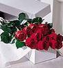 Box of red roses