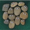 your very own pet rocks