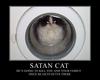 satan cat